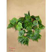 155.23 Лиана винограда